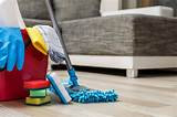 House Cleaning and Organizing