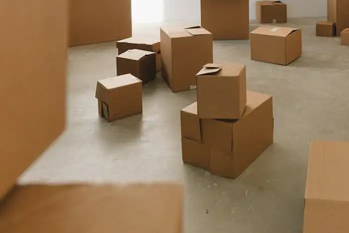 Sorting through my things